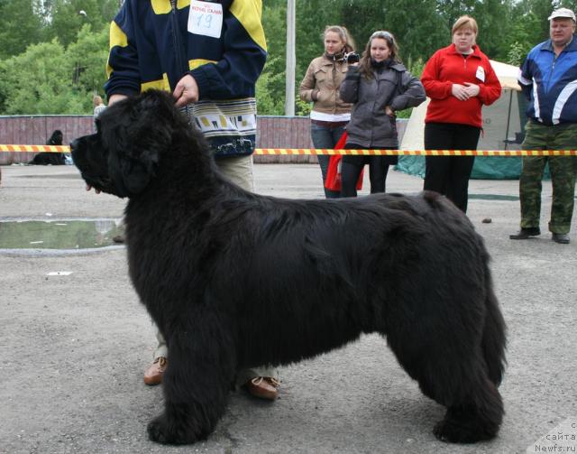 Фотография № 28601