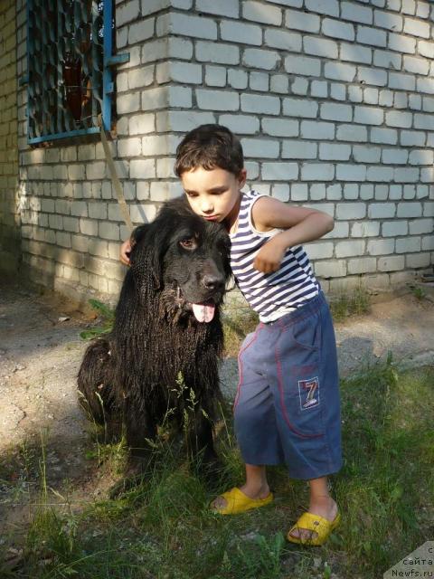 Фотография № 28603