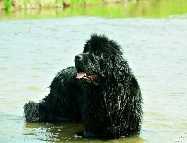 Фотография № 28632