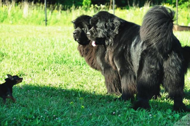 Фотография № 28635