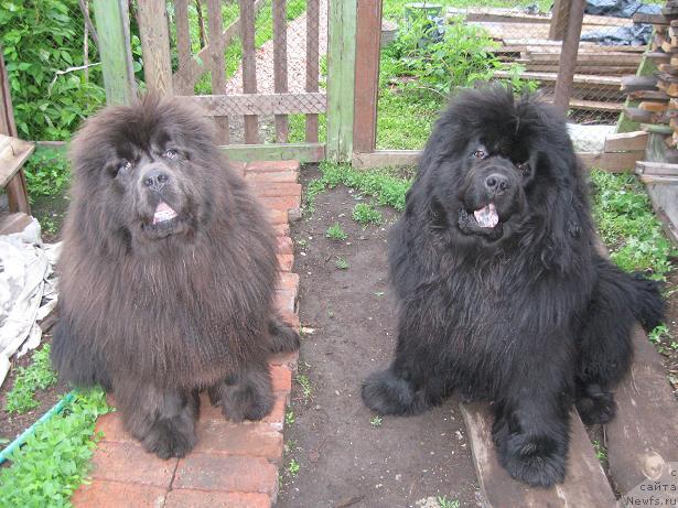 Фотография № 28812