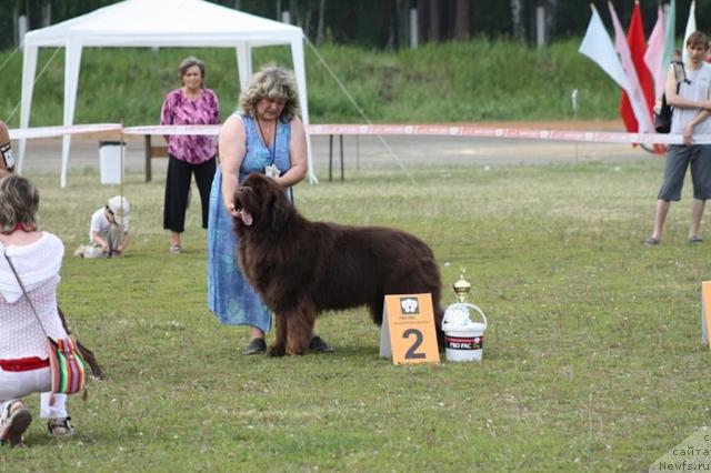 Фотография № 28862