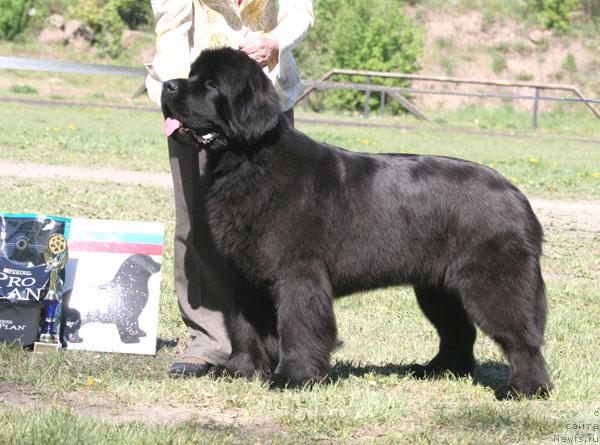 Фотография № 28868