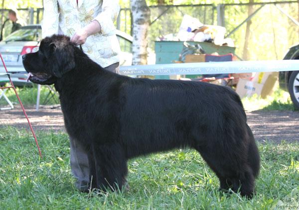 Фотография № 28869