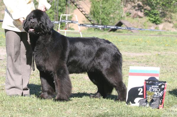 Фотография № 28871