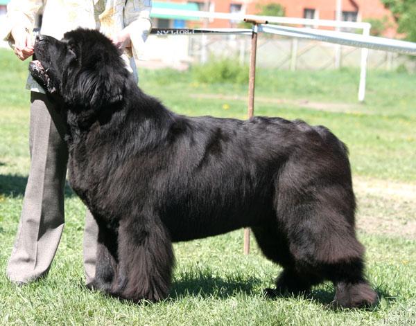 Фотография № 28873