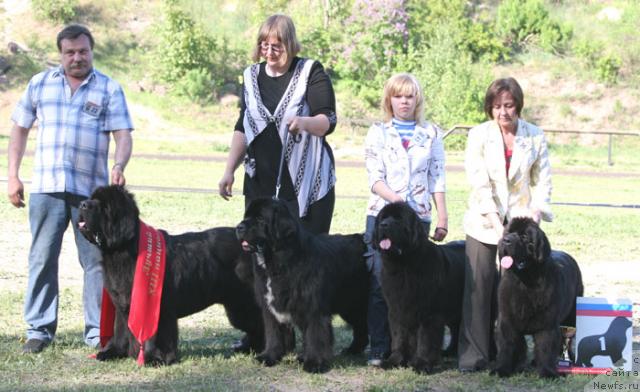 Фотография № 28875