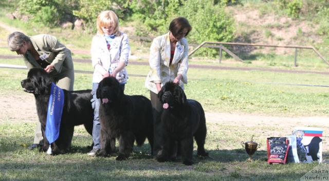 Фотография № 28877