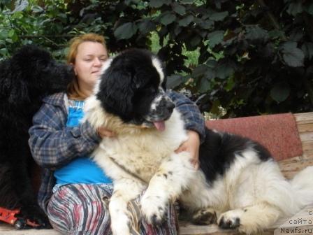 Фотография № 28888