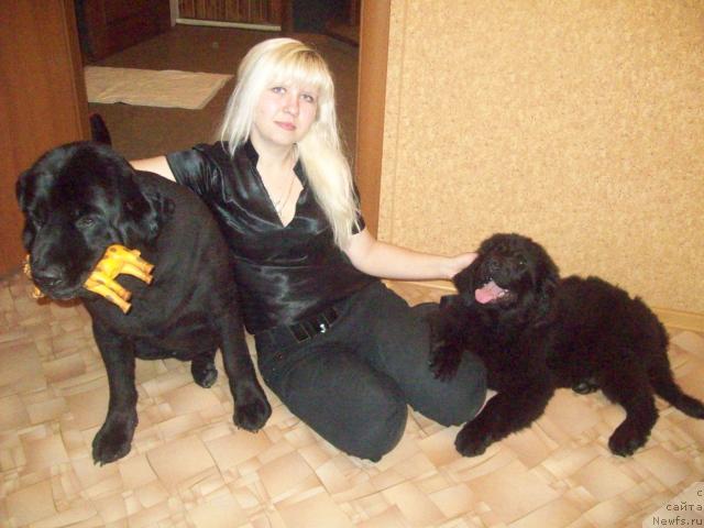 Фото: ньюфаундленд Lyubov' Zemnaya (Любовь Земная), Anna Portnyakova (Анна Портнякова), ньюфаундленд Peter-Bear Ponki Rifer Sit (Петер-Беар Понки Рифер Сит)