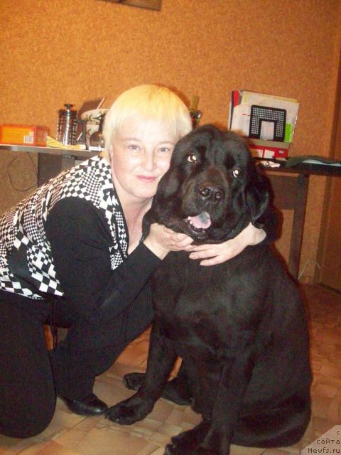 Фото: ньюфаундленд Peter-Bear Ponki Rifer Sit (Петер-Беар Понки Рифер Сит), Elena Morozik (Елена Морозик)