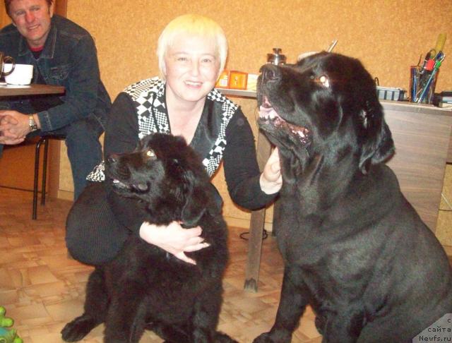 Фото: Elena Morozik (Елена Морозик), ньюфаундленд Lyubov' Zemnaya (Любовь Земная), ньюфаундленд Peter-Bear Ponki Rifer Sit (Петер-Беар Понки Рифер Сит)