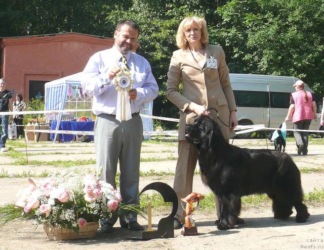 Фотография № 29062