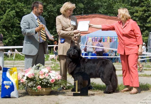 Фотография № 29095