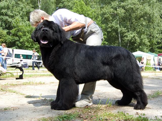 Фотография № 29097