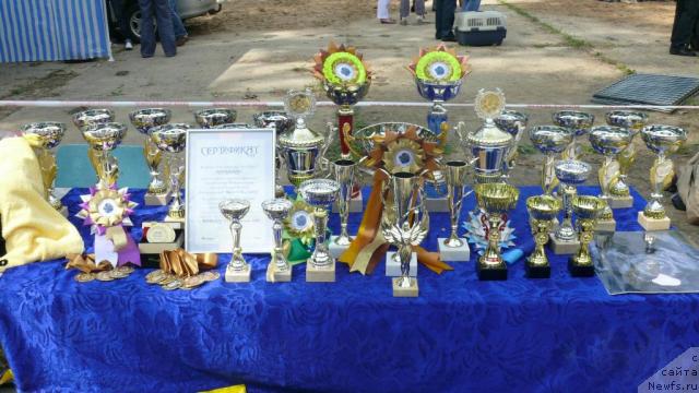 Фотография № 29099