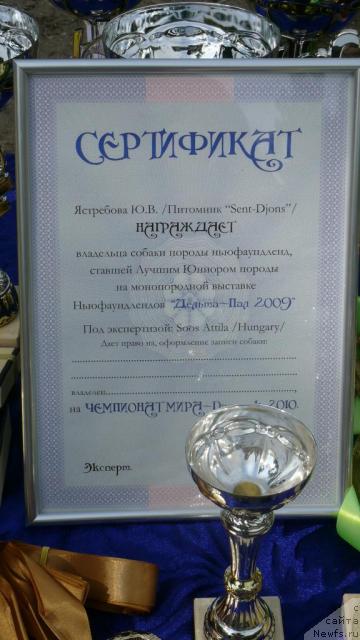 Фотография № 29100