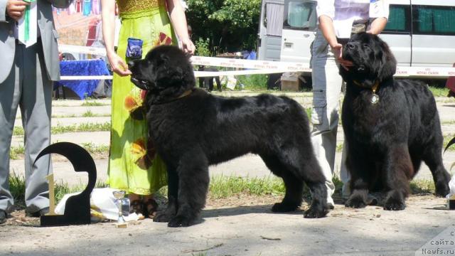 Фотография № 29105