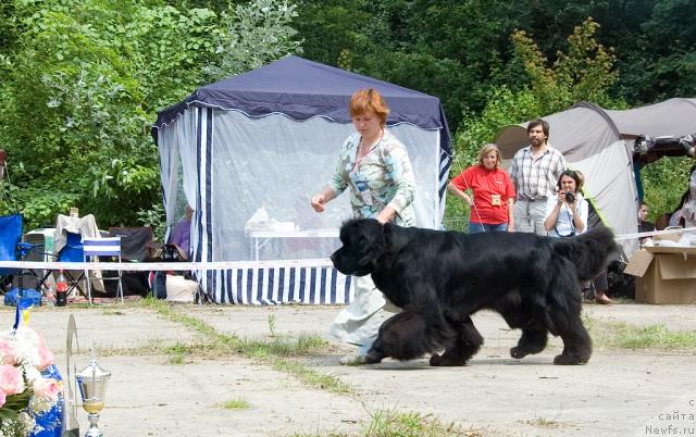 Фотография № 29106