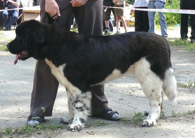 Фотография № 29109