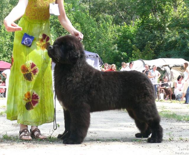 Фотография № 29110