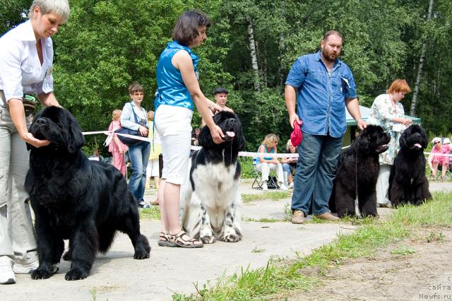 Фотография № 29111