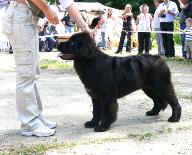 Фотография № 29114