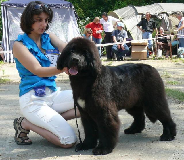 Фотография № 29115