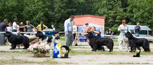 Фотография № 29116