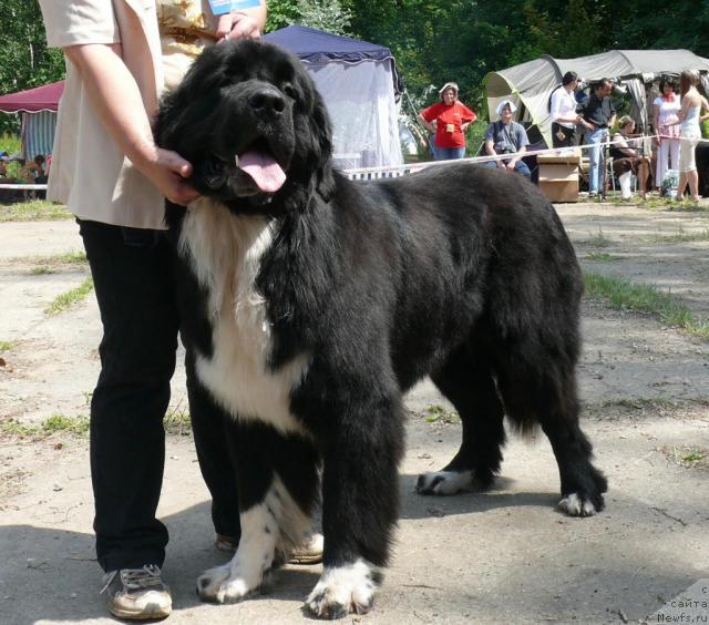 Фотография № 29118