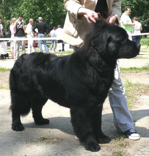 Фотография № 29120