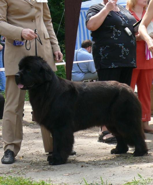 Фотография № 29124