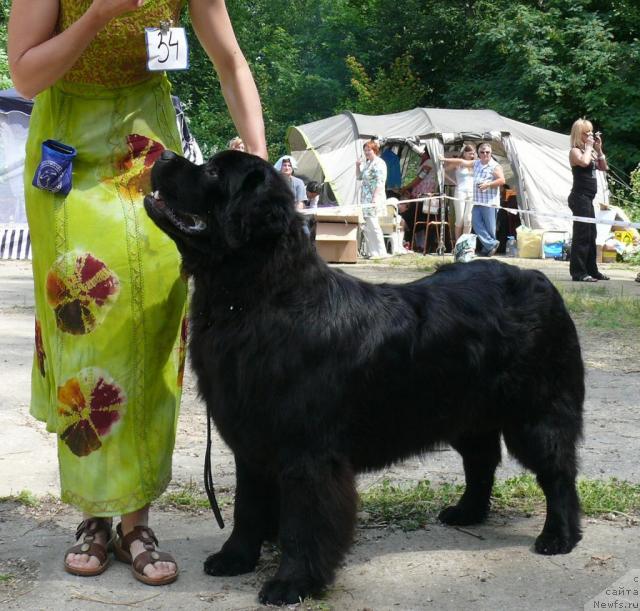 Фотография № 29125