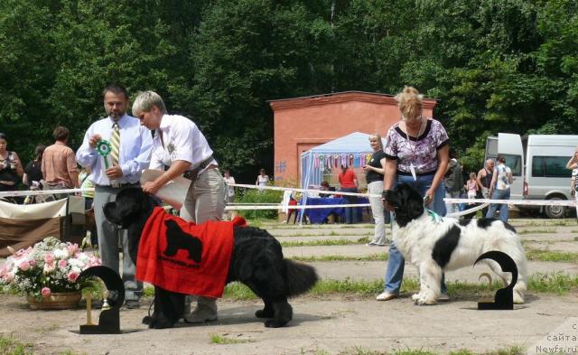 Фотография № 29132