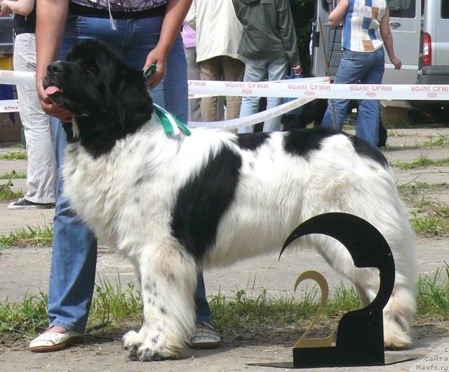 Фотография № 29133