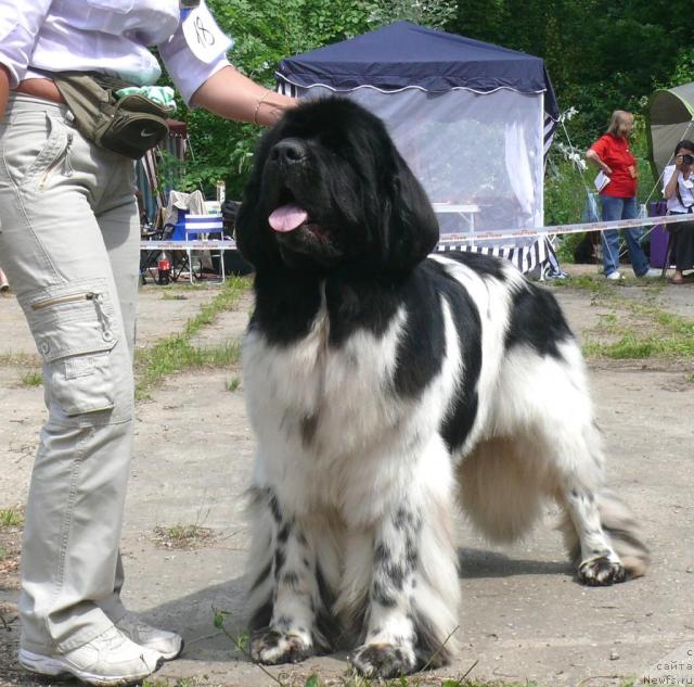 Фотография № 29134