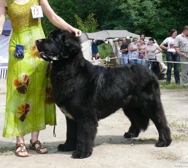 Фотография № 29135