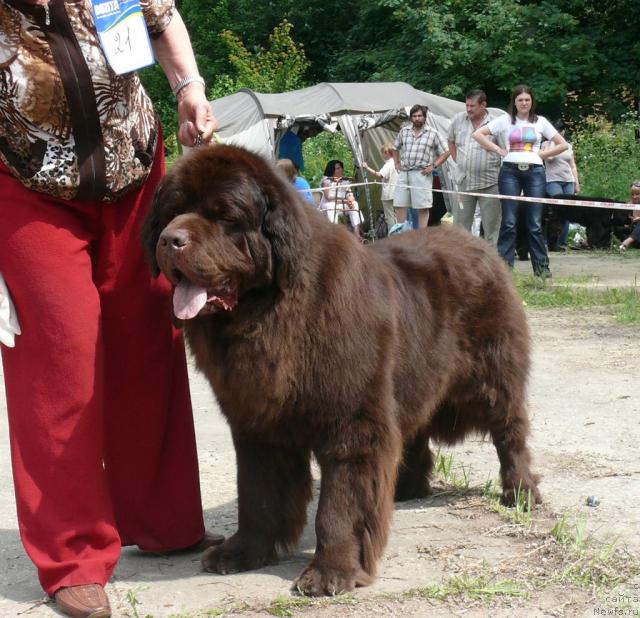 Фотография № 29137