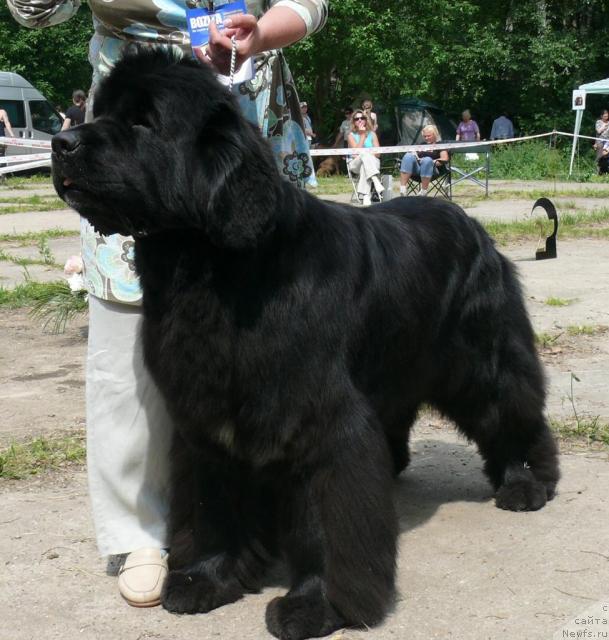 Фотография № 29139