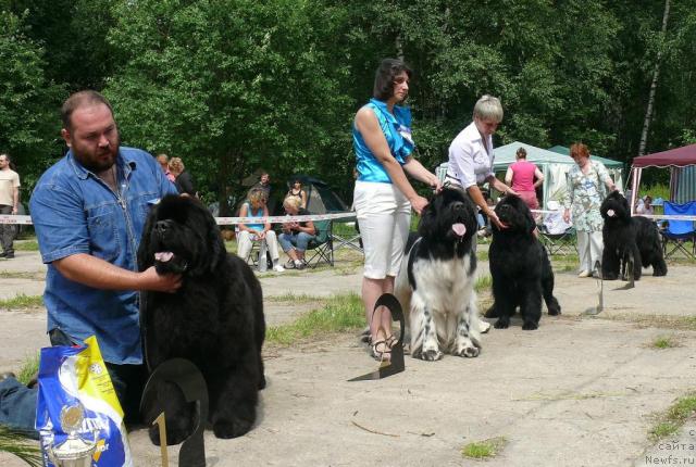 Фотография № 29140