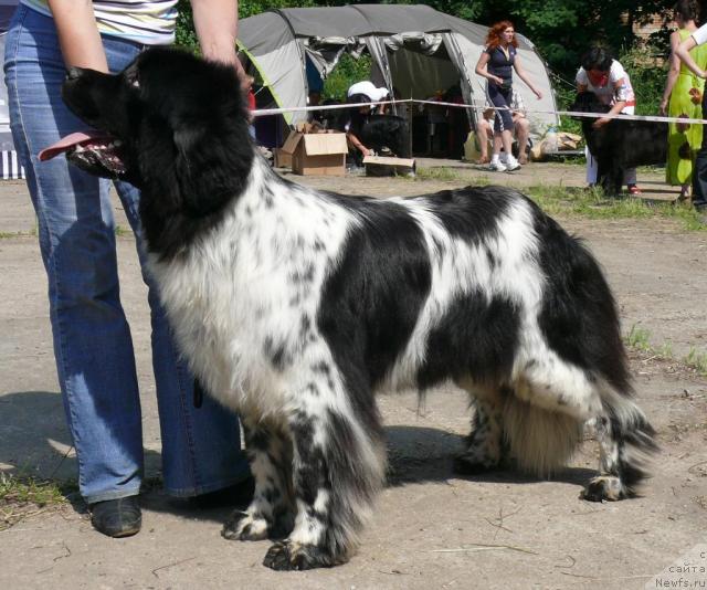 Фотография № 29143