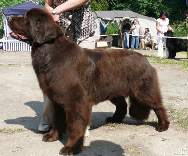 Фотография № 29144