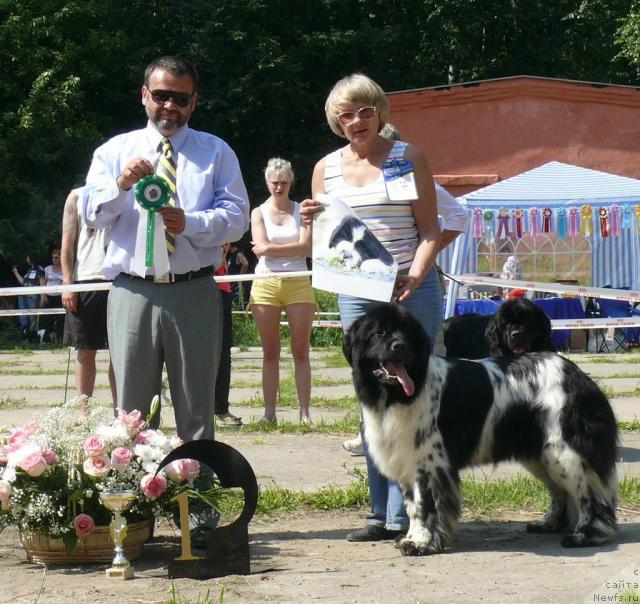 Фотография № 29145