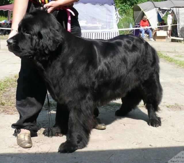 Фотография № 29146