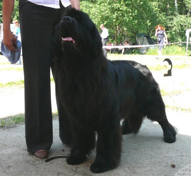 Фотография № 29149