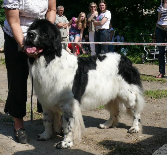 Фотография № 29151