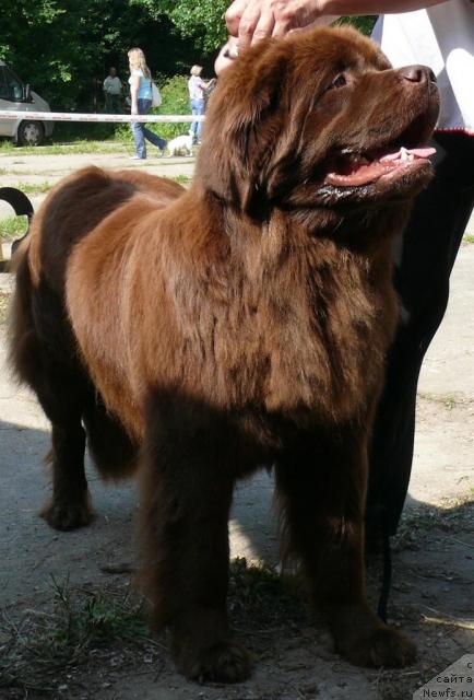 Фотография № 29152