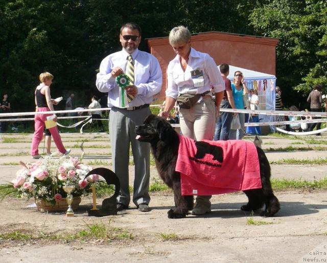 Фотография № 29155