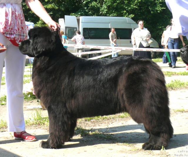 Фотография № 29156