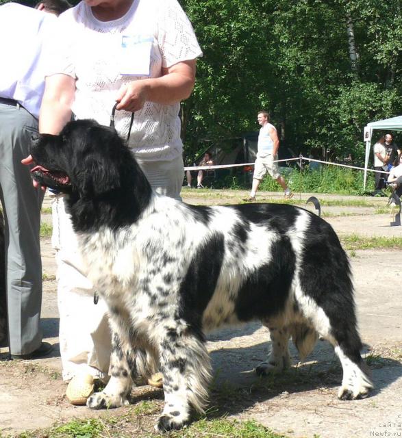 Фотография № 29158